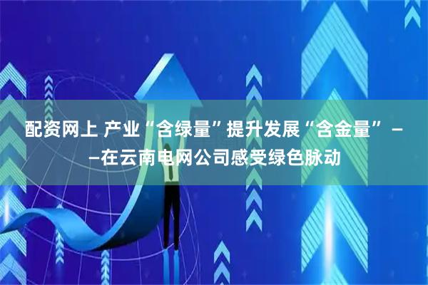 配资网上 产业“含绿量”提升发展“含金量” ——在云南电网公司感受绿色脉动