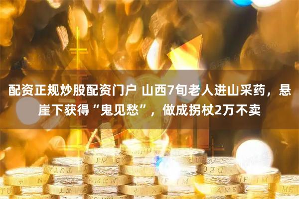 配资正规炒股配资门户 山西7旬老人进山采药，悬崖下获得“鬼见愁”，做成拐杖2万不卖